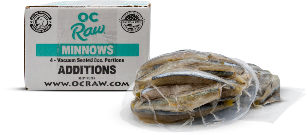 Minnows - Image 4